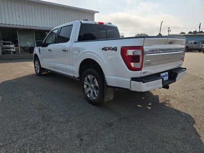 2023 Ford F-150 Platinum