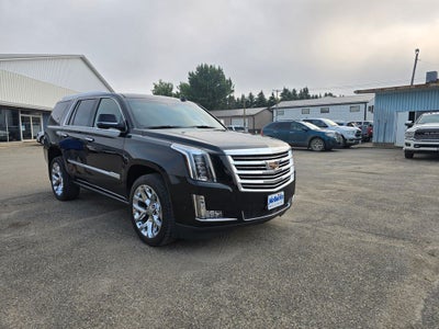 2020 Cadillac Escalade 4WD Platinum