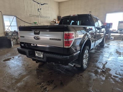 2012 Ford F-150 Platinum