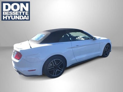 2022 Ford Mustang EcoBoost