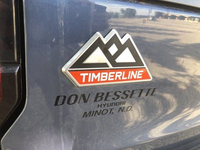 2023 Ford Expedition Timberline