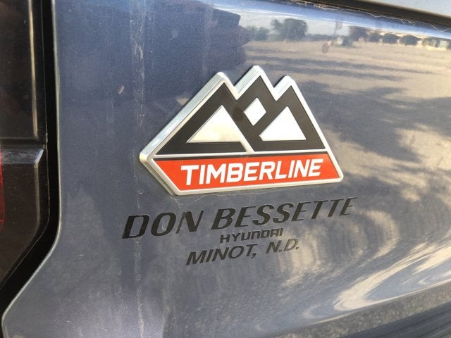 2023 Ford Expedition Timberline